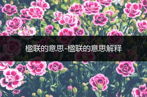 楹联的意思-楹联的意思解释