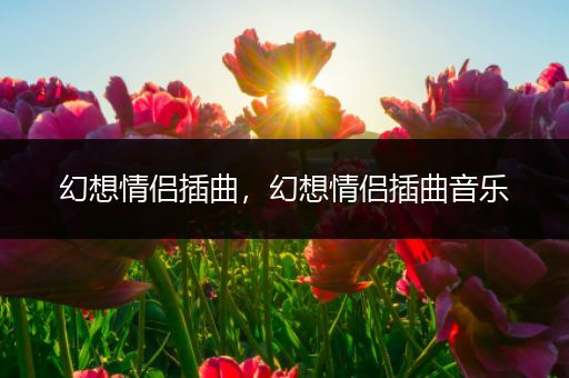 幻想情侣插曲,幻想情侣插曲音乐