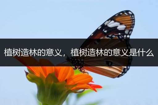 植树造林的意义,植树造林的意义是什么