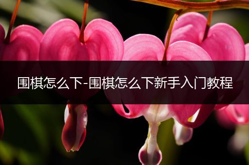 围棋怎么下-围棋怎么下新手入门教程