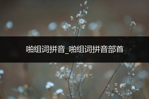 啪组词拼音_啪组词拼音部首