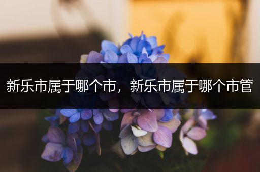 新乐市属于哪个市,新乐市属于哪个市管