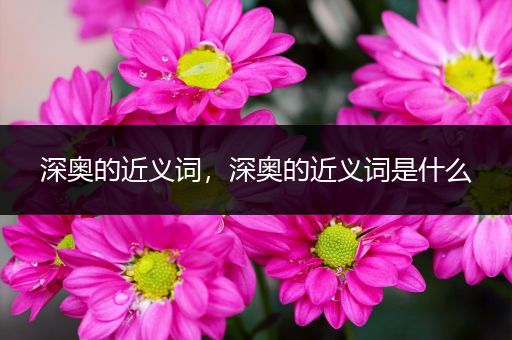 深奥的近义词,深奥的近义词是什么