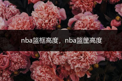 nba篮框高度，nba篮筐高度