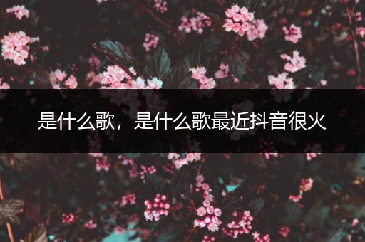 是什么歌，是什么歌最近抖音很火