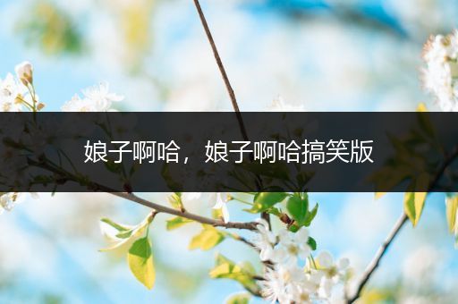 娘子啊哈，娘子啊哈搞笑版