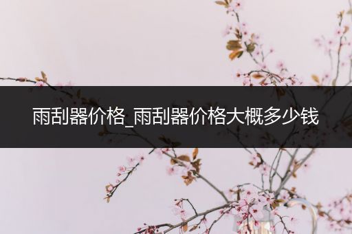 雨刮器价格_雨刮器价格大概多少钱