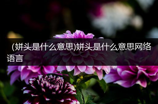 （姘头是什么意思)姘头是什么意思网络语言