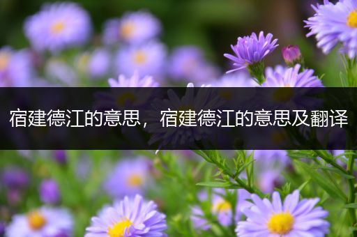 宿建德江的意思，宿建德江的意思及翻译