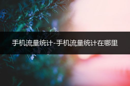 手机流量统计-手机流量统计在哪里