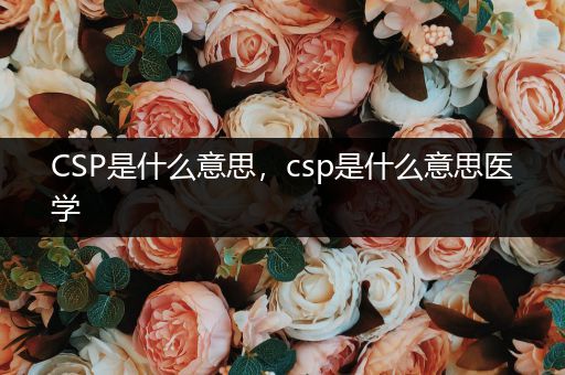 CSP是什么意思，csp是什么意思医学