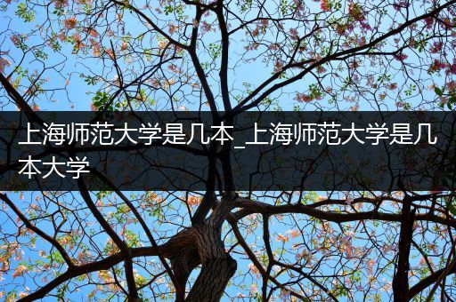 上海师范大学是几本_上海师范大学是几本大学