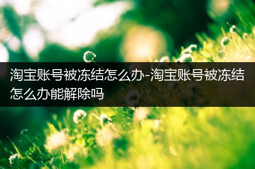 淘宝账号被冻结怎么办-淘宝账号被冻结怎么办能解除吗