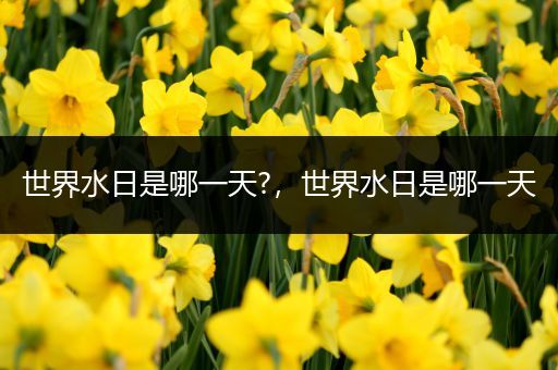 世界水日是哪一天?，世界水日是哪一天