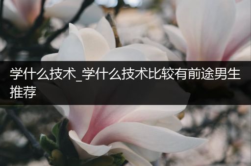 学什么技术_学什么技术比较有前途男生推荐