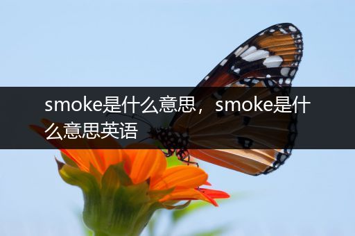 smoke是什么意思，smoke是什么意思英语