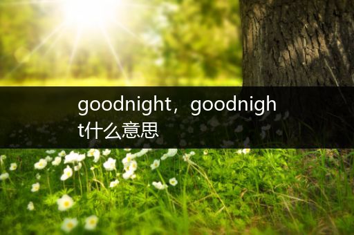 goodnight，goodnight什么意思