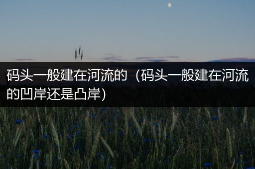 码头一般建在河流的（码头一般建在河流的凹岸还是凸岸）