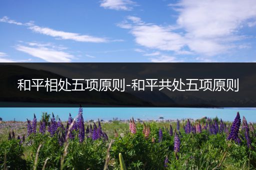 和平相处五项原则-和平共处五项原则