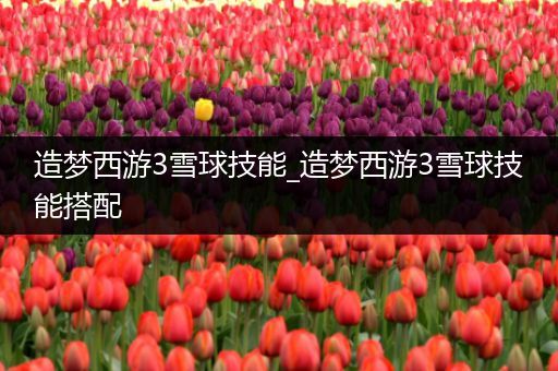 造梦西游3雪球技能_造梦西游3雪球技能搭配