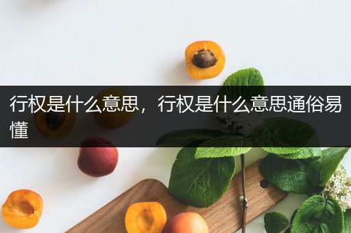 行权是什么意思,行权是什么意思通俗易懂-比翼知识网