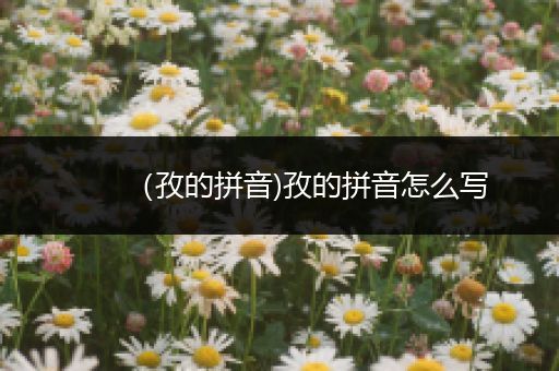 （孜的拼音)孜的拼音怎么写