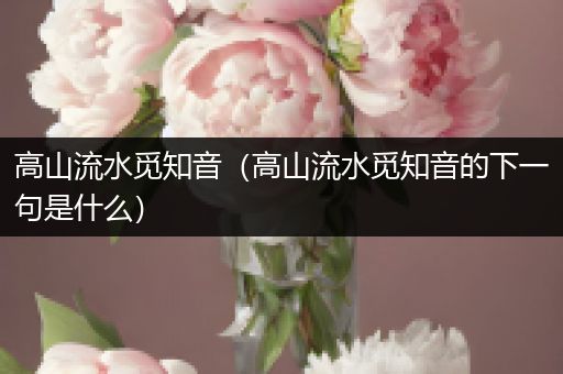 高山流水觅知音（高山流水觅知音的下一句是什么）