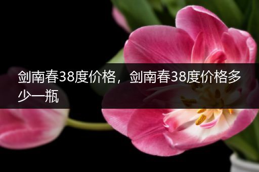 剑南春38度价格，剑南春38度价格多少一瓶