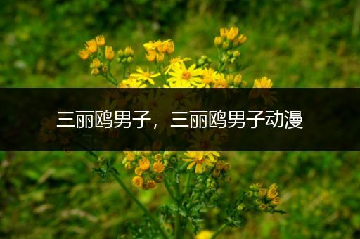 三丽鸥男子，三丽鸥男子动漫