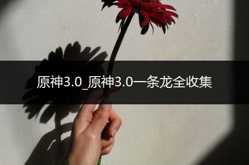 原神3.0_原神3.0一条龙全收集