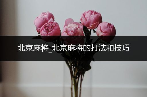 北京麻将_北京麻将的打法和技巧