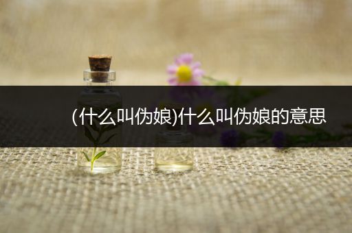 （什么叫伪娘)什么叫伪娘的意思