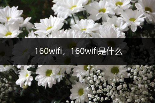 160wifi，160wifi是什么