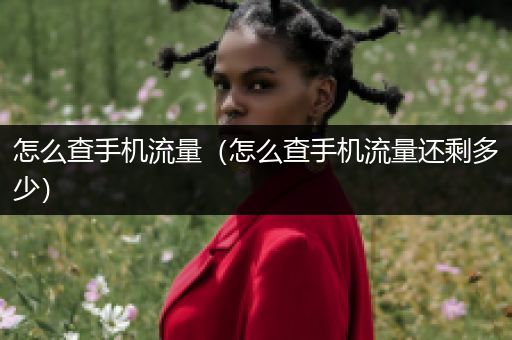 怎么查手机流量（怎么查手机流量还剩多少）
