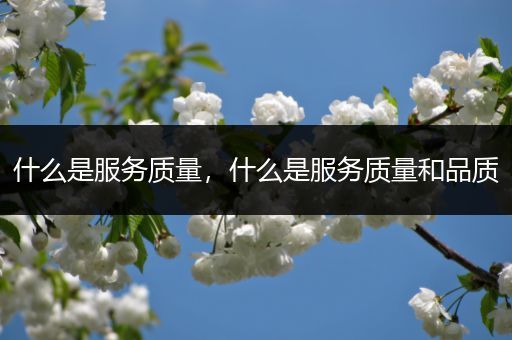 什么是服务质量，什么是服务质量和品质