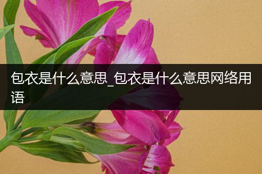 包衣是什么意思_包衣是什么意思网络用语