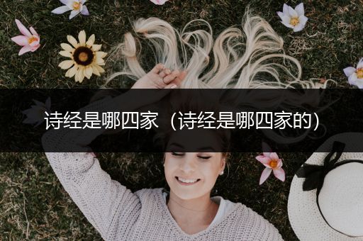 诗经是哪四家（诗经是哪四家的）