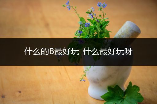 什么的B最好玩_什么最好玩呀