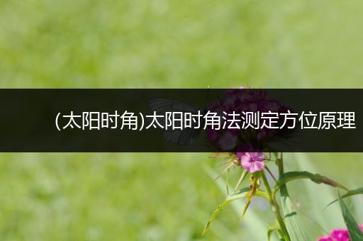 （太阳时角)太阳时角法测定方位原理