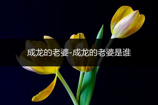 成龙的老婆-成龙的老婆是谁