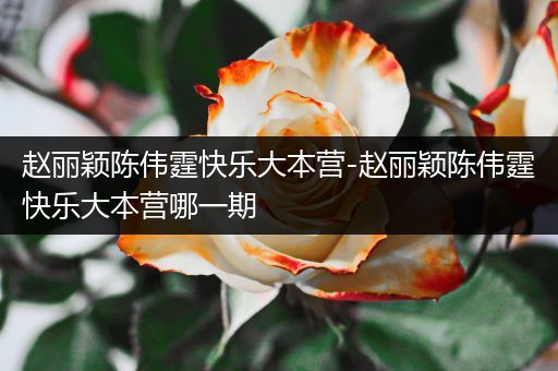 赵丽颖陈伟霆快乐大本营-赵丽颖陈伟霆快乐大本营哪一期