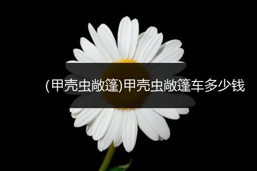 （甲壳虫敞篷)甲壳虫敞篷车多少钱