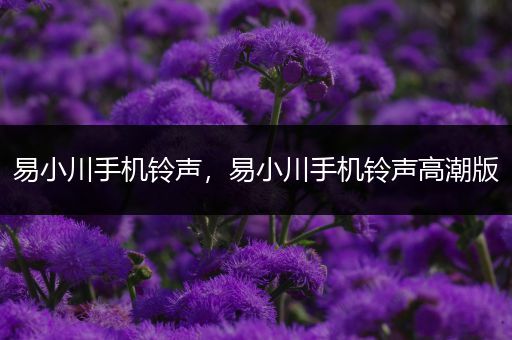 易小川手机铃声，易小川手机铃声高潮版