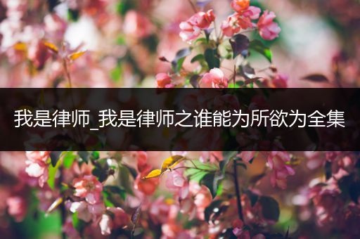 我是律师_我是律师之谁能为所欲为全集