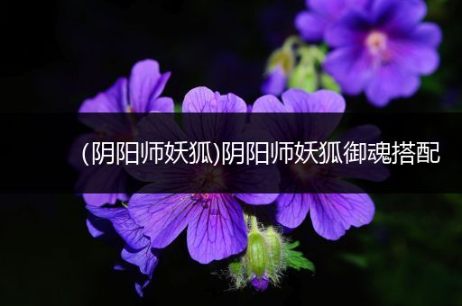 （阴阳师妖狐)阴阳师妖狐御魂搭配
