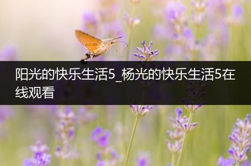 阳光的快乐生活5_杨光的快乐生活5在线观看