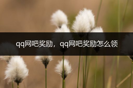 qq网吧奖励，qq网吧奖励怎么领