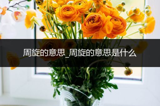 周旋的意思_周旋的意思是什么