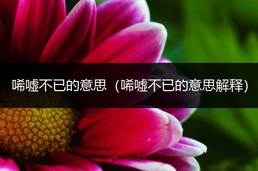 唏嘘不已的意思（唏嘘不已的意思解释）