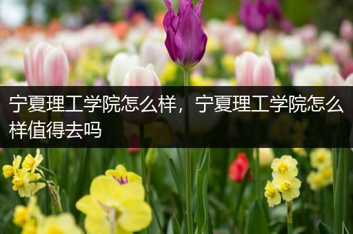 宁夏理工学院怎么样，宁夏理工学院怎么样值得去吗